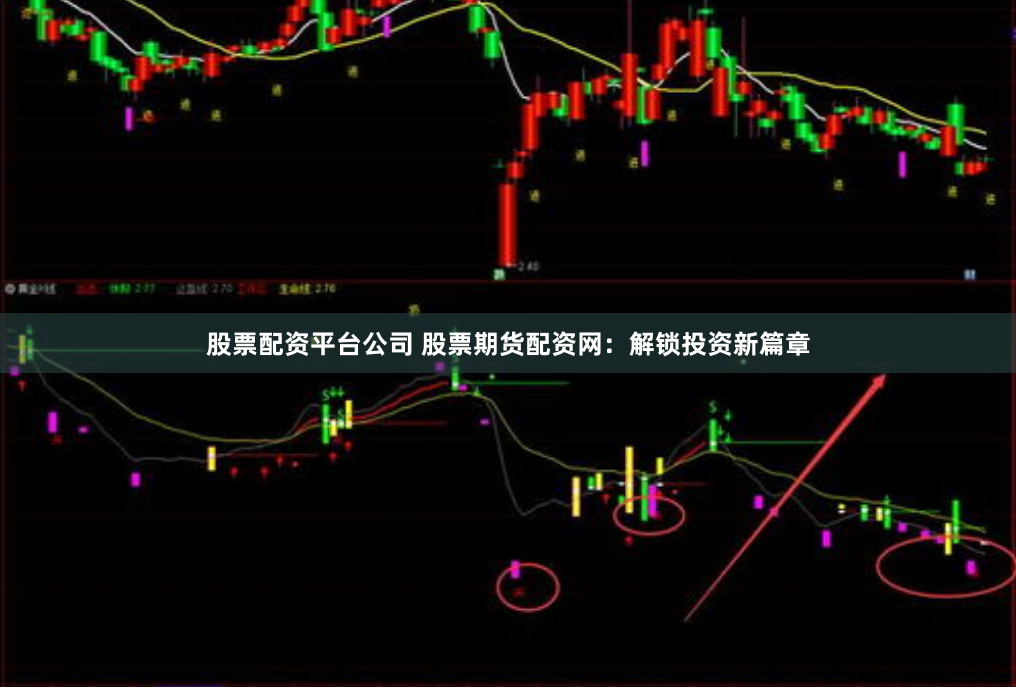 股票配资平台公司 股票期货配资网：解锁投资新篇章