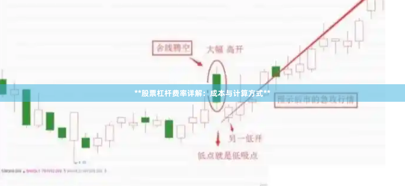 **股票杠杆费率详解：成本与计算方式**